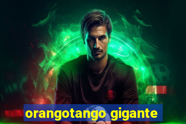 orangotango gigante